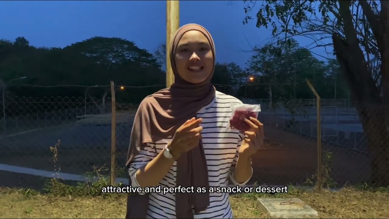 ENT300 - VIDEO PRESENTATION | Melt & Co. Cookies Business Idea 