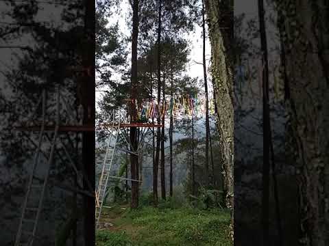 Wana Wisata Negeri Bambu Lumbang Rejo Prigen Pasuruhan Wana Wisata Negeri Bambu Lumbang Rejo Prigen Pasuruhan