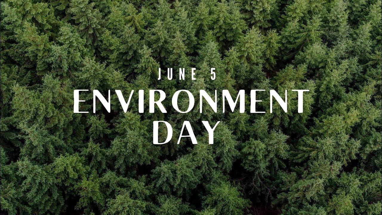 World Environment Day #Short Video - YouTube