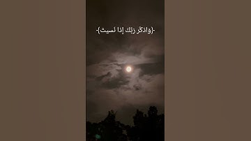 #قرآن #اكسبلور #لايك #ياسر_الدوسري #تلاوة_خاشعة #تيك_توك #راحة_نفسية #اللهم_صلي_على_نبينا_محمد