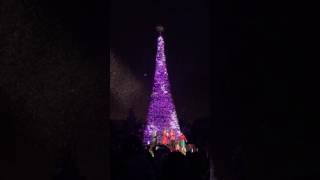2016 the 1st Christmas Tree Lighting Ceremony in Hong Kong Disneyland Park