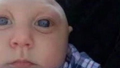 Callie Edit | Splatoon 2 | FW