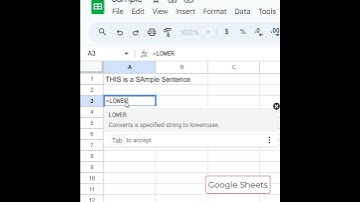 Google Sheets Changing Text to Lower Case