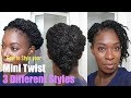 How To | Style Mini Twist in 3 Different Ways | Natural Hair