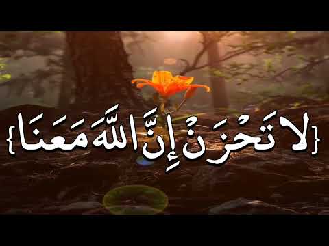 ساعة كاملة تلاوة تقشعر لها الأبدان بصوت عبد الرحمن مسعد Reciter Abdul Rahman Mosad 