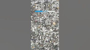 Vibin with Olivia songs❤️❤️