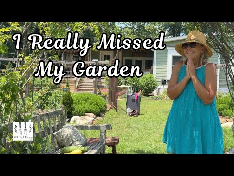 I Missed My Garden | My Happy Place