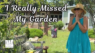 I Missed My Garden | My Happy Place