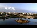 Palavas