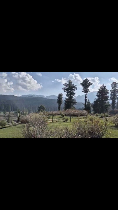 vivah♥️♥️#nature#music#travel#song#love#youtube#trending#viral#short#vlog#views#ballwoo #bollywood