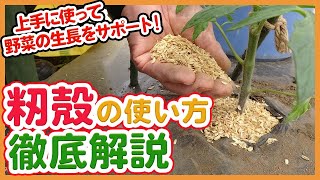 もみ殻を春夏野菜栽培に活用！家庭菜園や農園で野菜を生長させる土壌改善やマルチングの使い方を徹底解説！/ How to use rice husks to help grow vegetables.