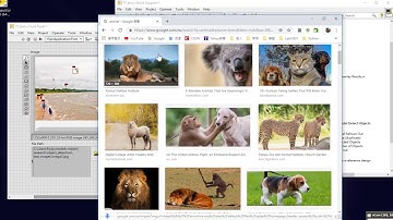 72. Deep Learning Object Detection using Vision Development Module for LabVIEW