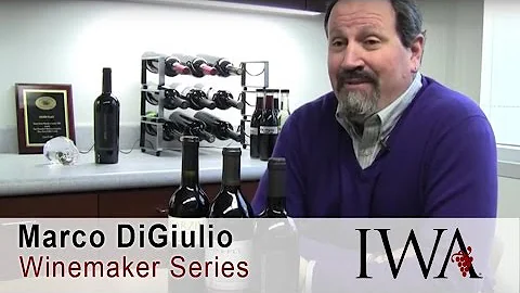 Wine Cellar Series - Marco DiGiulio, Winemaker at ...