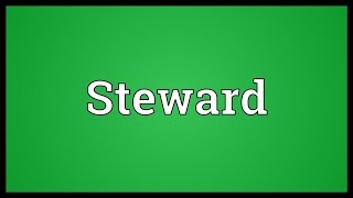 Steward Meaning