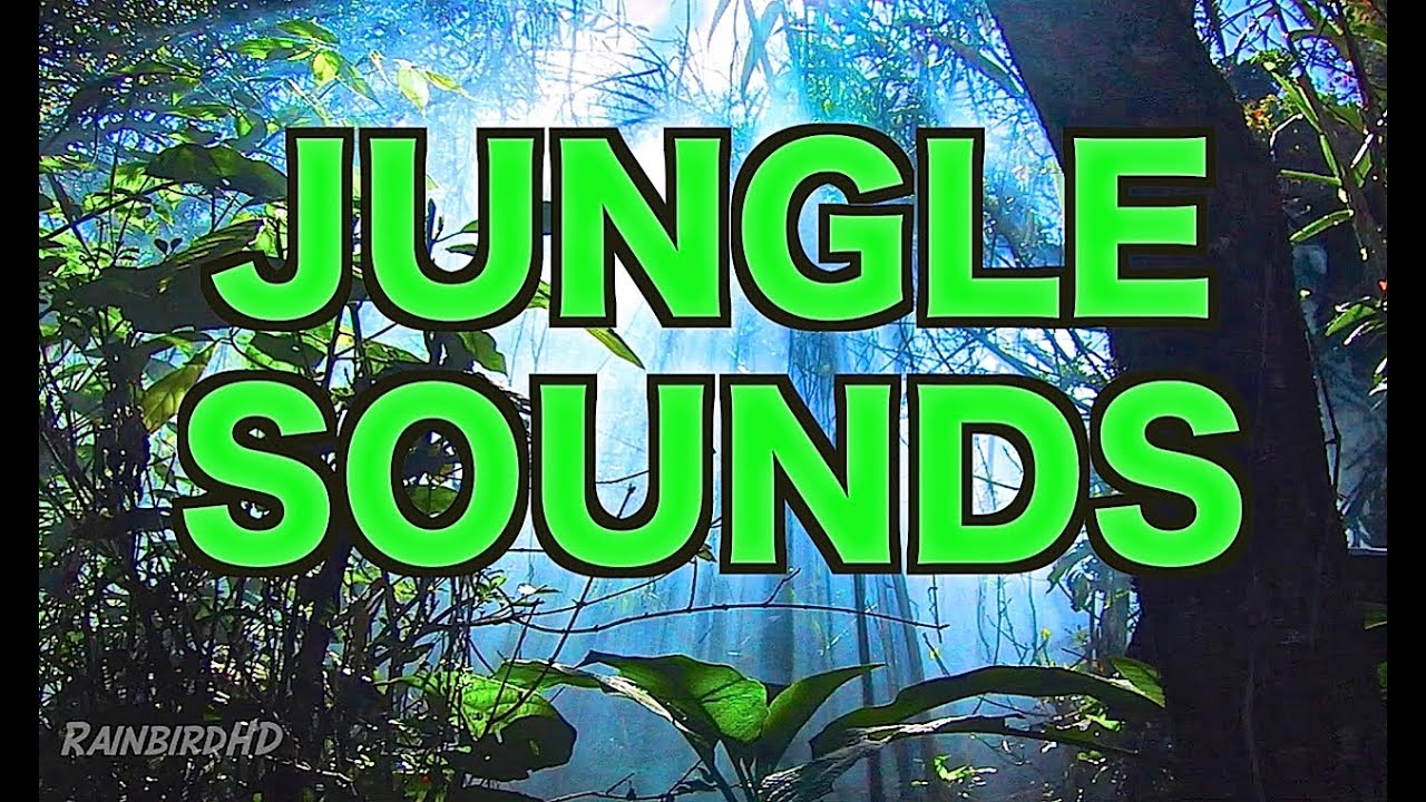 jungle safari sound effects