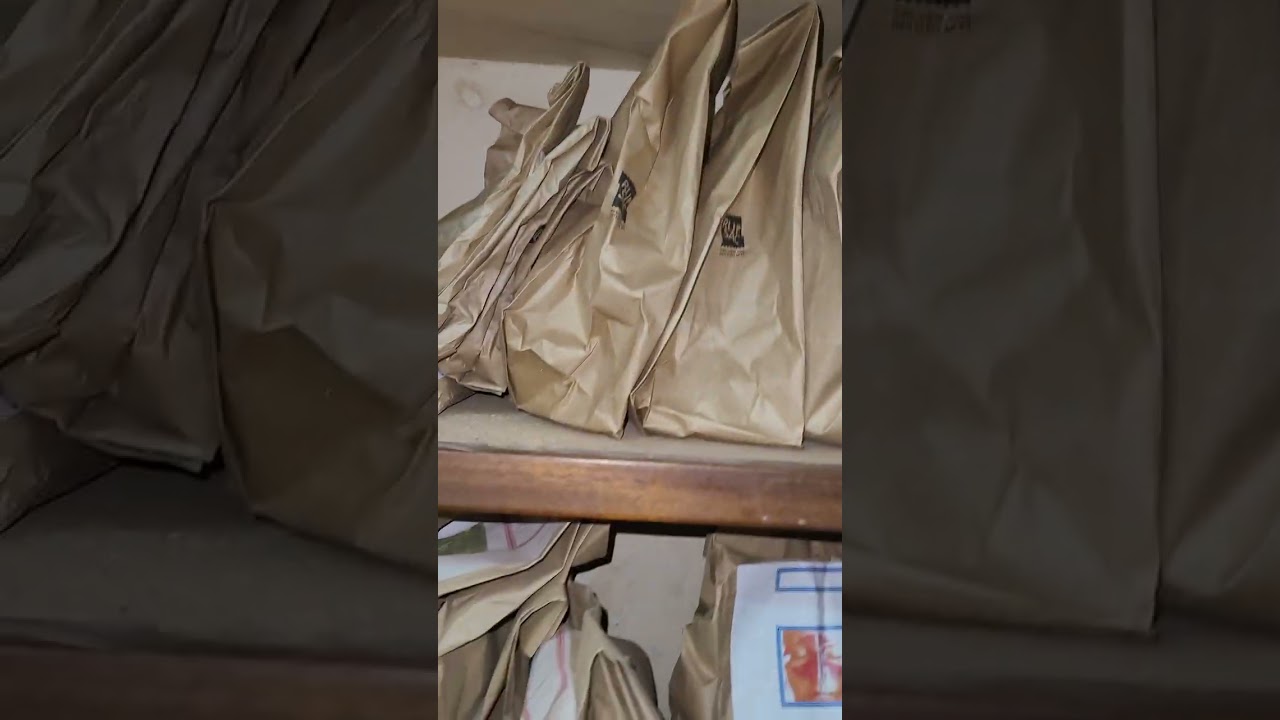 Xeewal yaangi nii dé 