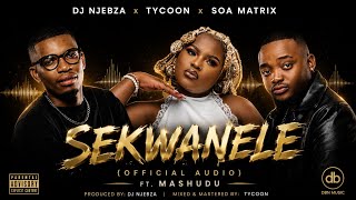 Dj Njebza  x Tycoon x Soa Matrix  - Sekwanele (Official Audio) ft Mashudu 