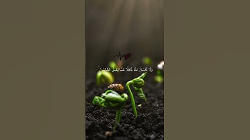 القران الكريم ❤️💯✅ سوره ابراهيم 💖✨ #اكسبلور #المصحف #الرحمن #لايك #دويتو #حالات_واتس
