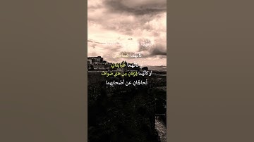 القرآن الكريم يأتي شفيعا يوم القيامة