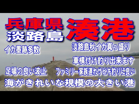 #99兵庫県淡路島湊港秋イカ真っ盛りイカ墨跡多数海がきれいな規模の大きい漁港足場の良い波止秋イカ釣れてます淡路島南ICE28神戸淡路鳴門自動車道明石海峡大橋大鳴門橋ファミリー家族連れサビキ釣りに良い