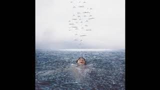 Shawn Mendes: Wonder