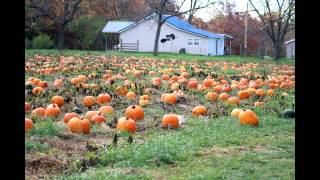 Uncle Buck's Pumpkin Patch, Dixon Missouri