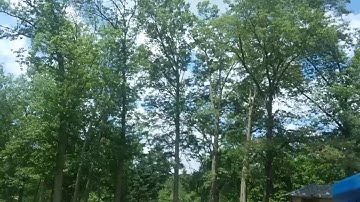 nVidia RTX 2080 ti VR test demo "SwingingVR" raytracing