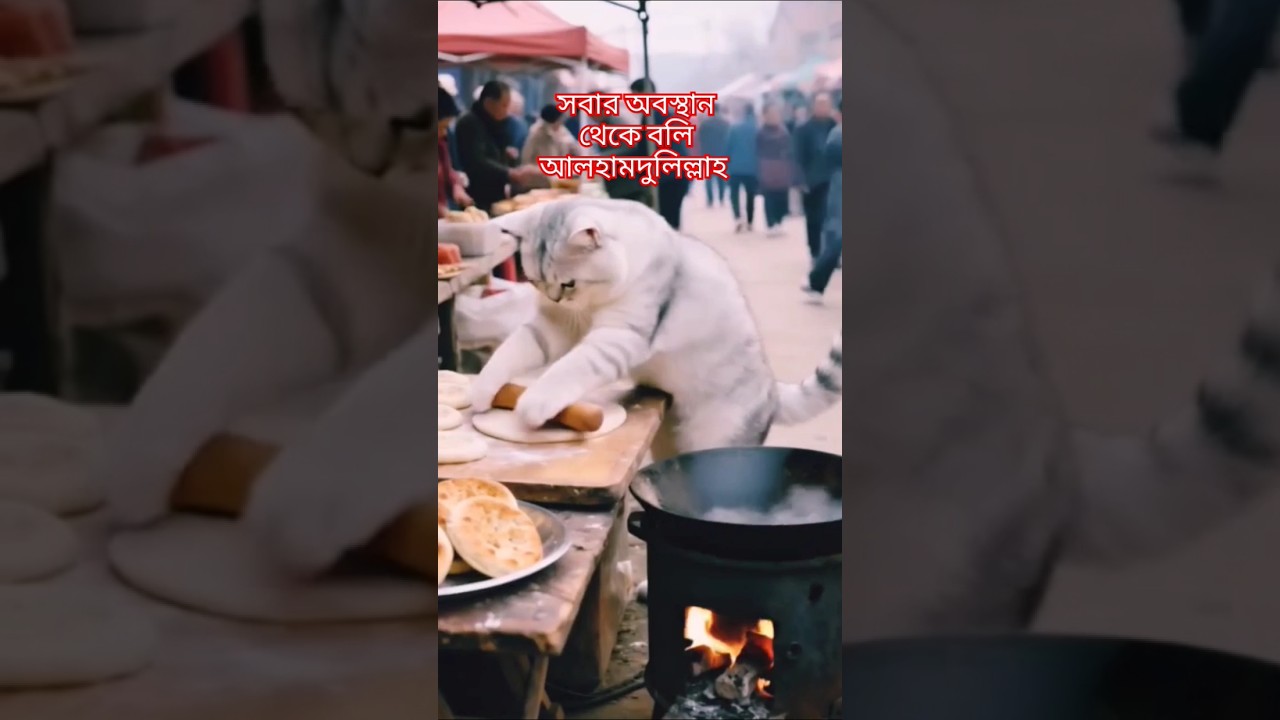 আল্লাহ রিজিকের মালিক। বলি আলহামদুলিল্লাহ #breakfast #food #cooking #cookingchannel #recepiechannal