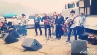 El regalo caro - Los Cachorros de Juan Villarreal