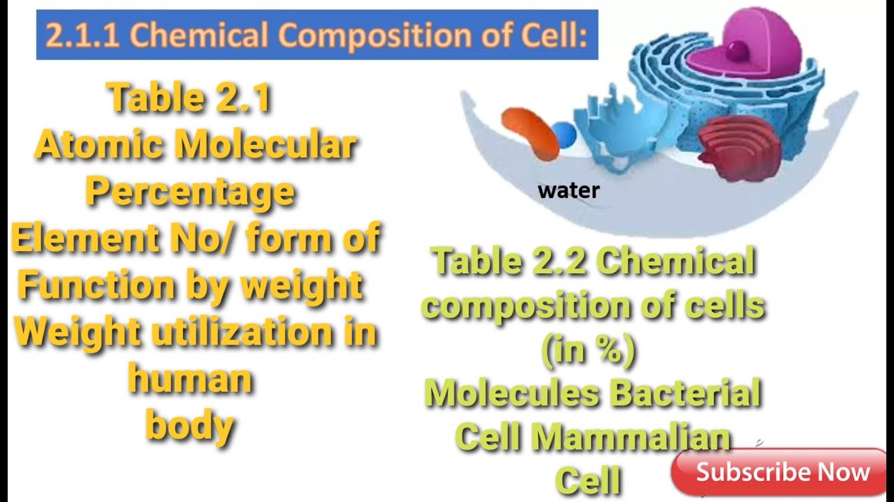 Chemical composition of cell, ch. 2 XI , lecture in urdu/ Hindi