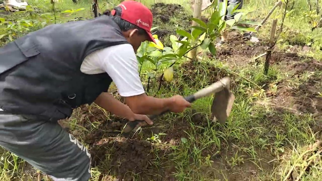 Imran Harahap magelang