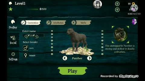 hack name/the panther/