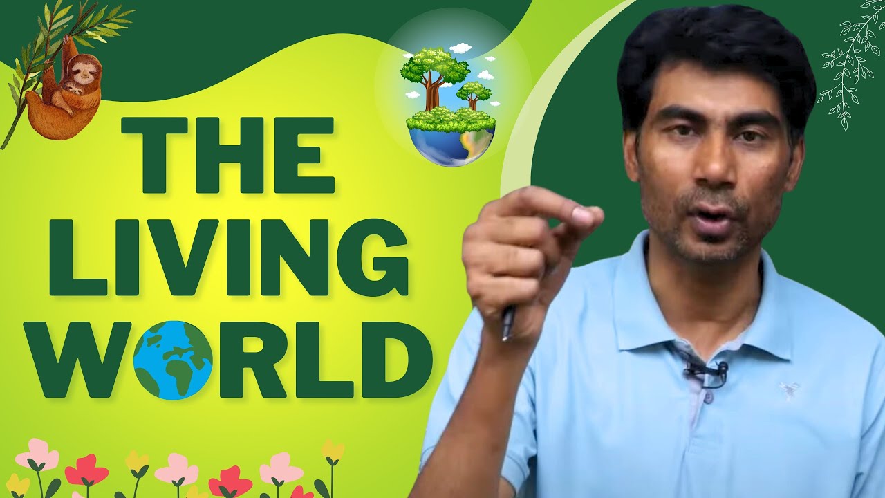 Living World Explained under 11 Minutes YouTube