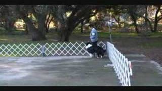 Heel & Left Turn