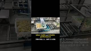 Hatchery Automation Stacking & De stacking Lines #poultryequipment