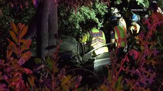 Driver Trapped After Crashing Into Large Tree