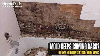 Mold Keeps Coming Back in Your Shower The Hidden Problem Behind Your Walls Explained