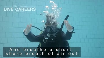 Dive-Careers.com Regulator 2 ways MPEG 4