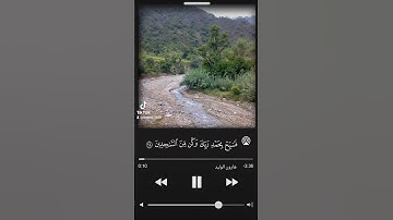 تلاوة خاشعة ومؤثرة بصوت هارون الوليد سورة الحجر #trending #اكسبلور #المصحف #قرآن #ترند #لايك #reels