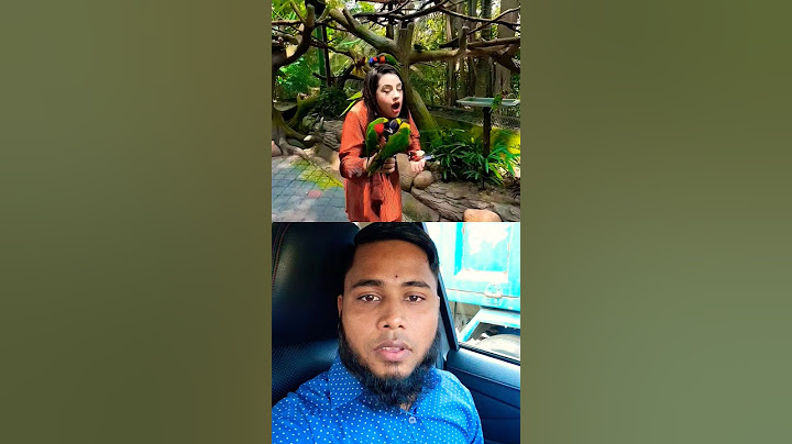 রিতুর বান্ধবীরা চলে আসছে Malaysia Parrot #short