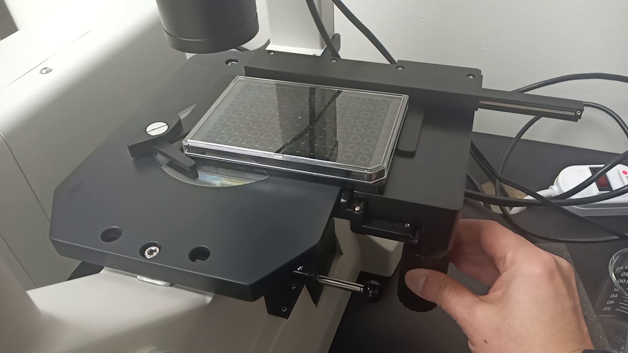 Microscope stage moving problem YouTube