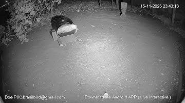 Opportunity Rover Simulator - COP30 Brazil - Download the "Live Interactive" app for Android!