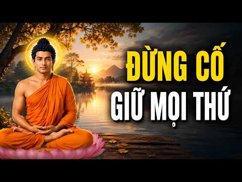Đừng Cố Giữ Mọi Thứ – Điều Khiến Ta Khổ Không Phải Là Mất Mát | Pháp Thoại Trước Khi Ngủ
