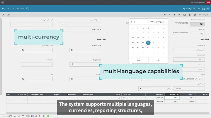 Introducing Infor SunSystems