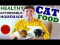 Quick & Easy, Healthy, Affordable CAT FOOD