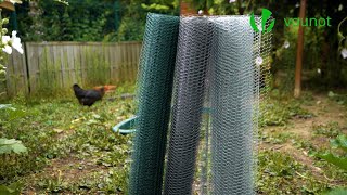 Grillage à poule : clôture pour protéger vos animaux ou vos plantes
