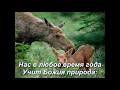 Нас в любое время года - клип