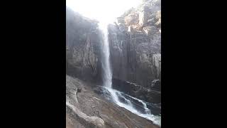 MANKODA DIAN ||MONKEY JUMP ||RK PAPU  VLOG ||#mankodadian #mankodadian #monkeyjump#shorts#rkpapuvlog