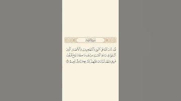 سورة التـوبة: الآية 117 #قرآن #قران_كريم #اكسبلور #quran #سورة_التوبة