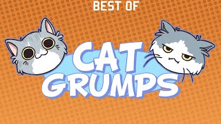 Best of Cat Grumps